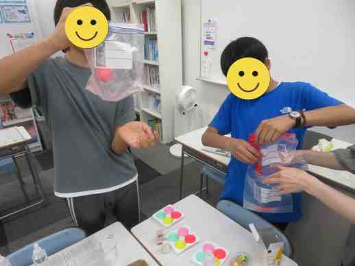 兵庫県にあるフリースクール、クラーク国際中等部芦屋キャンパスの理科の授業の様子