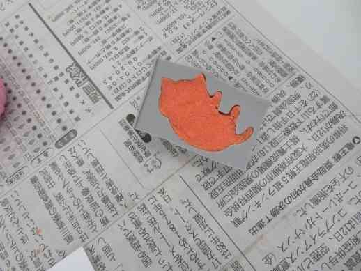兵庫県にあるフリースクール、クラーク国際中等部芦屋キャンパスの理科の授業の様子