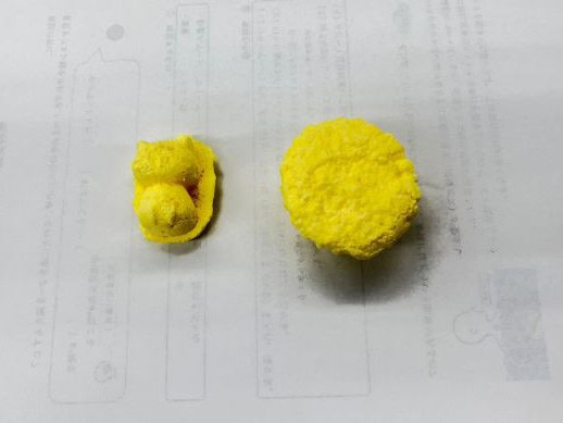 兵庫県にあるフリースクール、クラーク国際中等部芦屋キャンパスの理科の授業の様子
