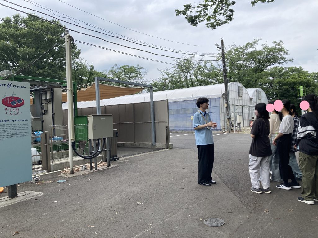 東京にあるフリースクール、クラーク国際中等部東京キャンパスの課外活動の様子
