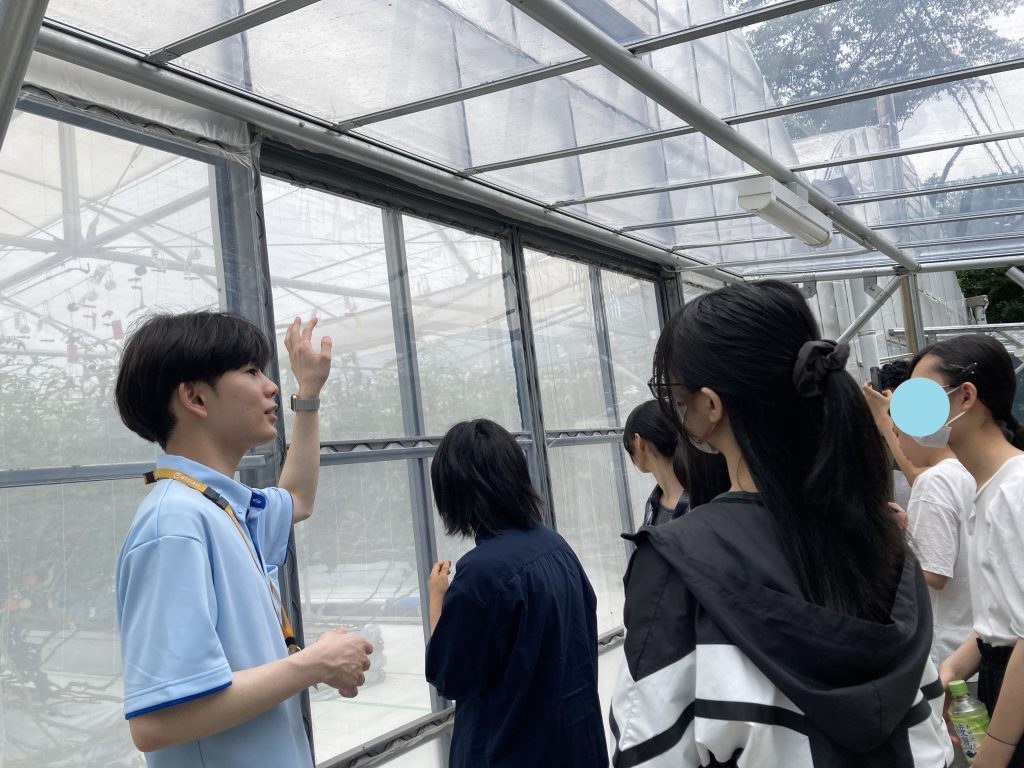 東京にあるフリースクール、クラーク国際中等部東京キャンパスの課外活動の様子
