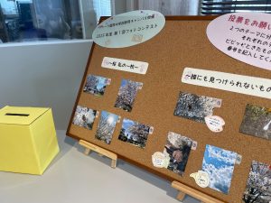 静岡にあるフリースクール、クラーク国際中等部静岡キャンパスのフォトコンテスト様子