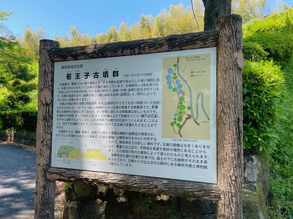 静岡にあるフリースクール、クラーク国際中等部静岡キャンパスの蓮華寺池公園散策