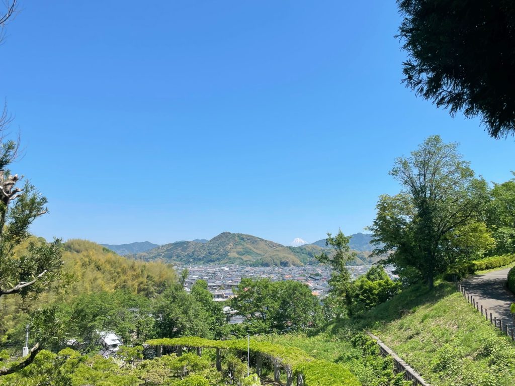 静岡にあるフリースクール、クラーク国際中等部静岡キャンパスの蓮華寺池公園散策