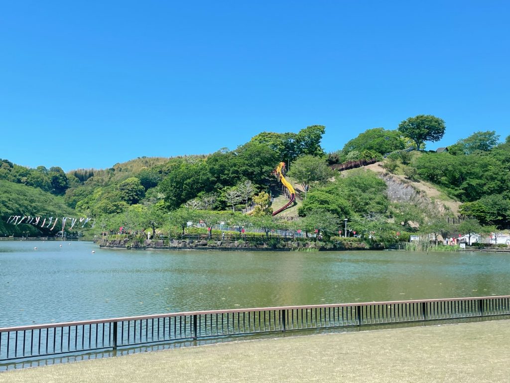 静岡にあるフリースクール、クラーク国際中等部静岡キャンパスの蓮華寺池公園散策