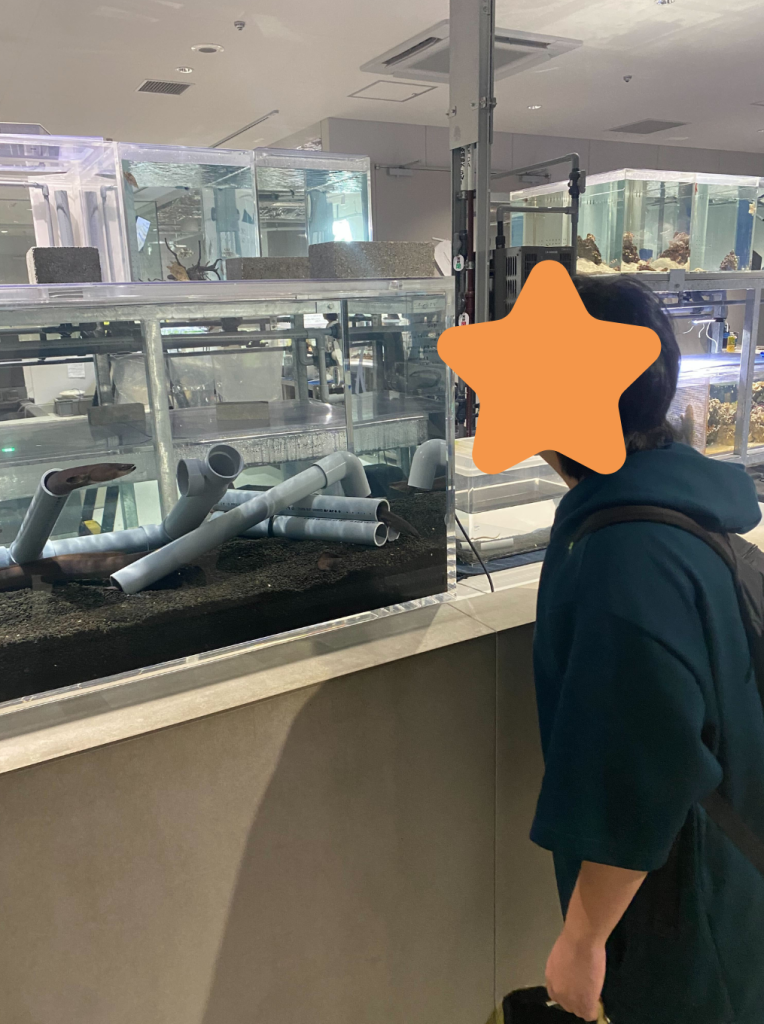 水と生物のラボ　魚の観察