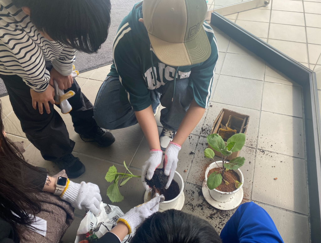 【授業紹介】日本と食の授業で野菜作り