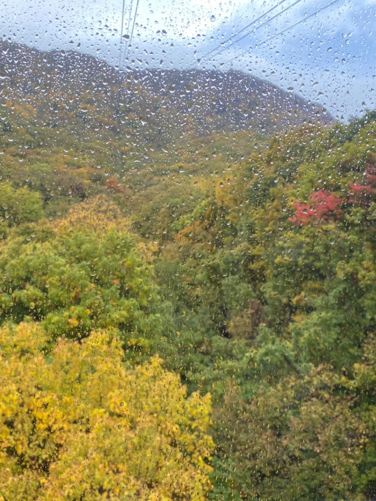 10月課外活動　藻岩山の紅葉