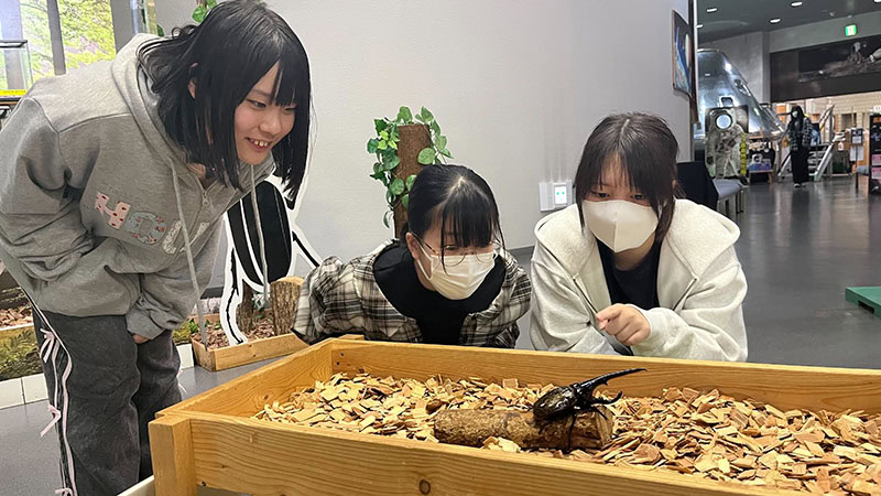 フリースクールであるクラーク国際中等部が八ヶ岳自然文化園で昆虫観察