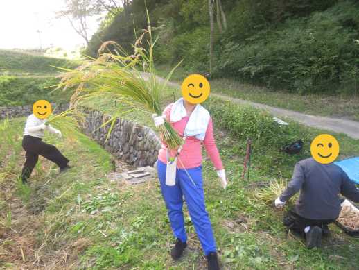 兵庫県にあるフリースクール、クラーク国際中等部芦屋キャンパスの課外活動の様子