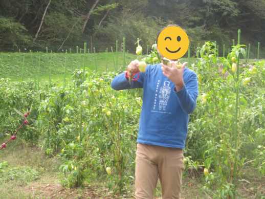 兵庫県にあるフリースクール、クラーク国際中等部芦屋キャンパスの課外活動の様子