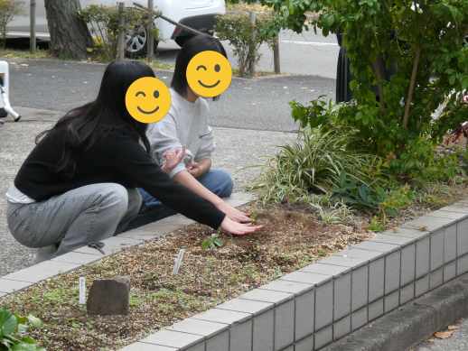 兵庫県にあるフリースクール、クラーク国際中等部芦屋キャンパスの園芸の授業の様子