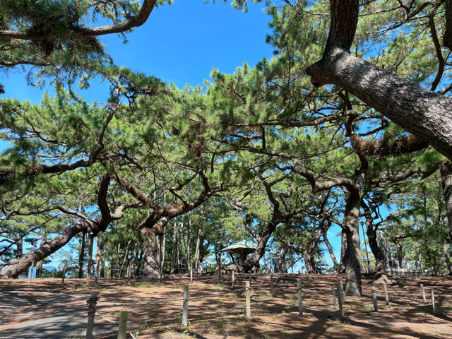 静岡にあるフリースクール、クラーク国際中等部静岡キャンパスの課外活動の様子