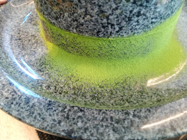 大阪にあるフリースクール、クラーク国際中等部大阪天王寺キャンパス、卒業旅行、京都、宇治、平等院、茶づな、抹茶