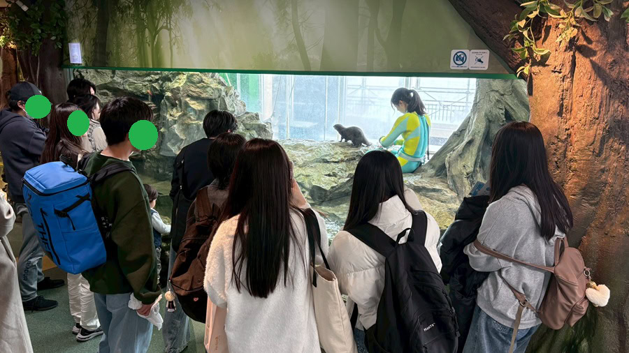 東京にあるフリースクール、クラーク国際中等部東京キャンパスの授業の様子