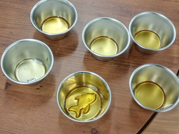 大阪にあるフリースクール、クラーク国際中等部大阪天王寺キャンパス、調理実習の様子、スイーツ、プリンアラモード、