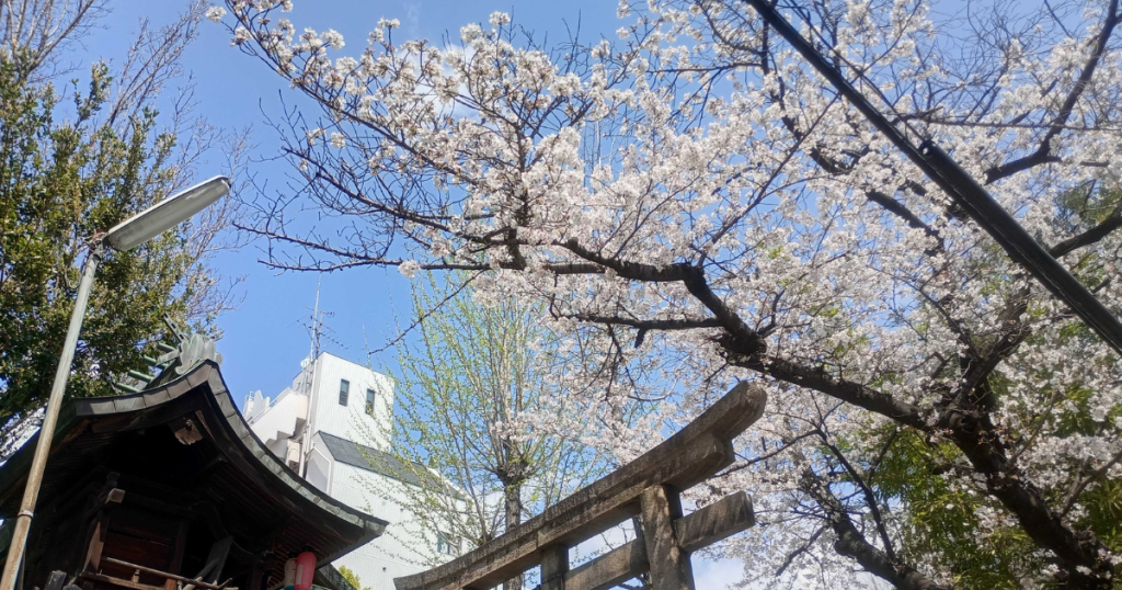 クラーク国際中等部新学期のスタート