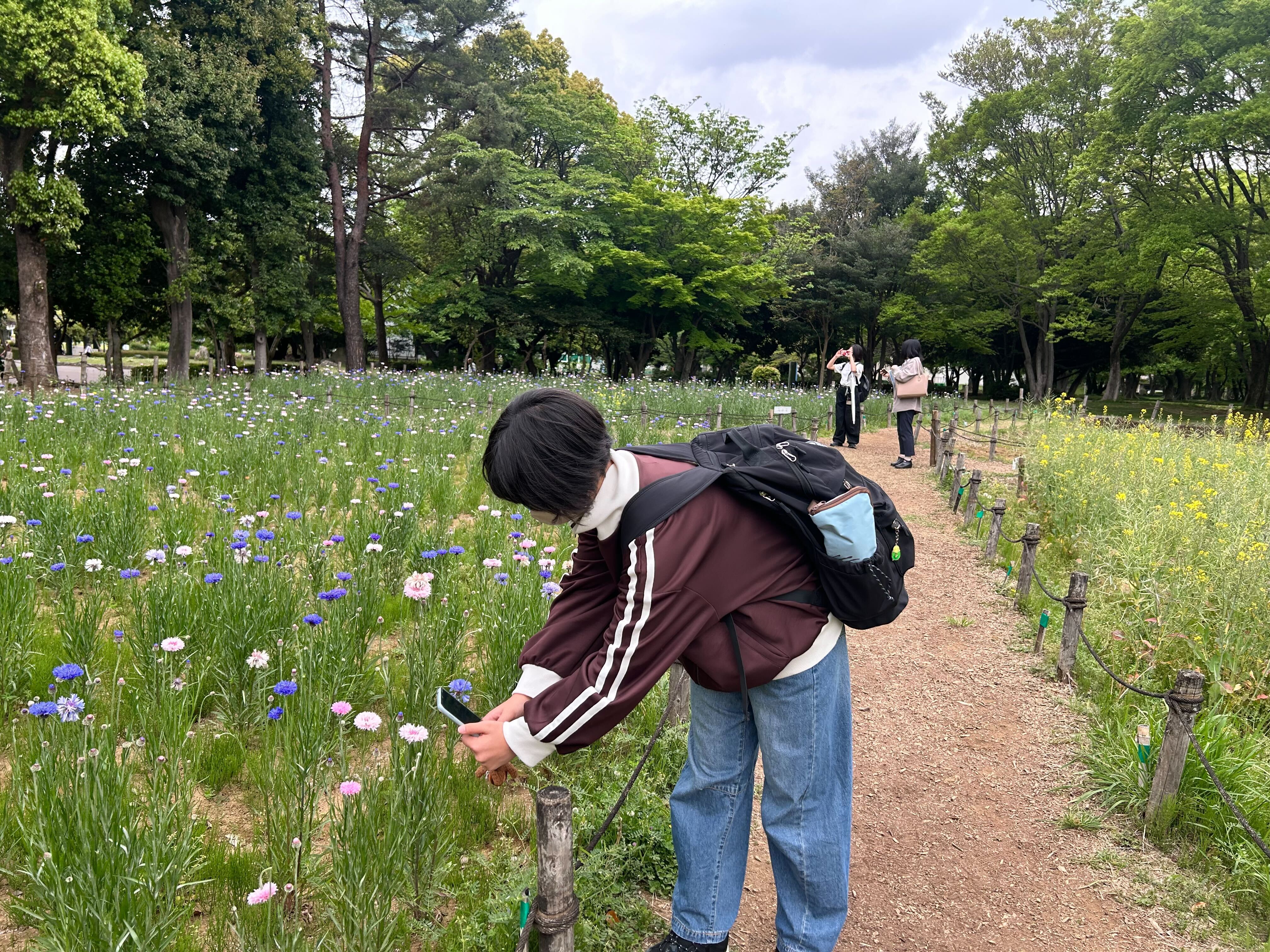 埼玉県所沢市にあるフリースクール、クラーク国際中等部所沢キャンパスで行った航空公園でのピクニックの様子