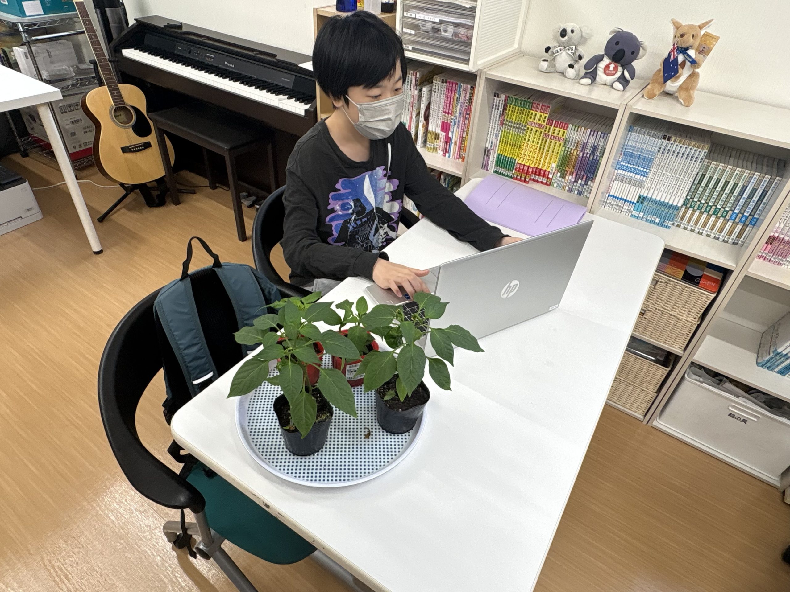 野菜の特徴や育て方などを分担して調べています