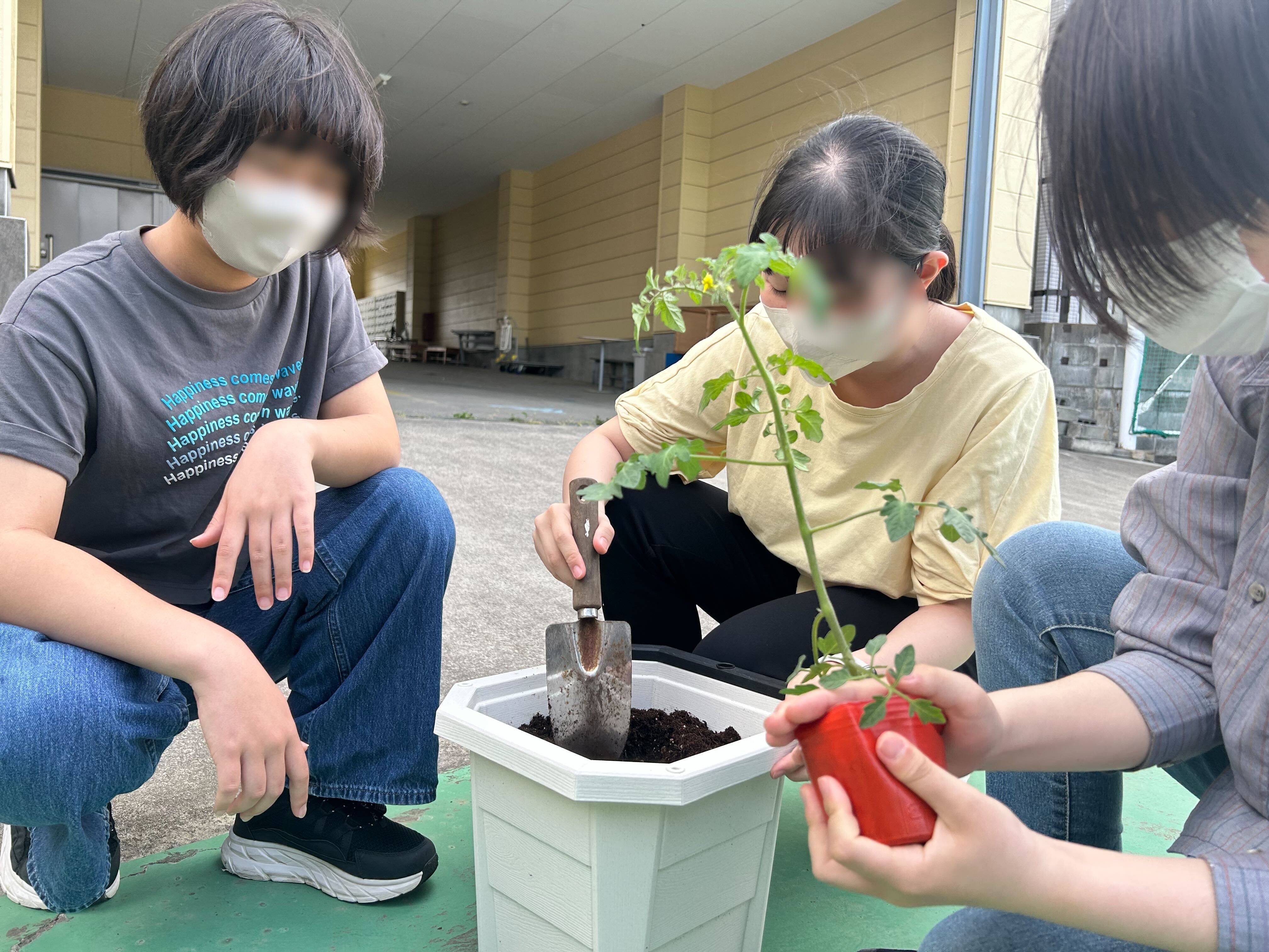 埼玉県所沢市にあるフリースクール、クラーク国際中等部所沢キャンパスで行ったミニトマトの苗植えの様子