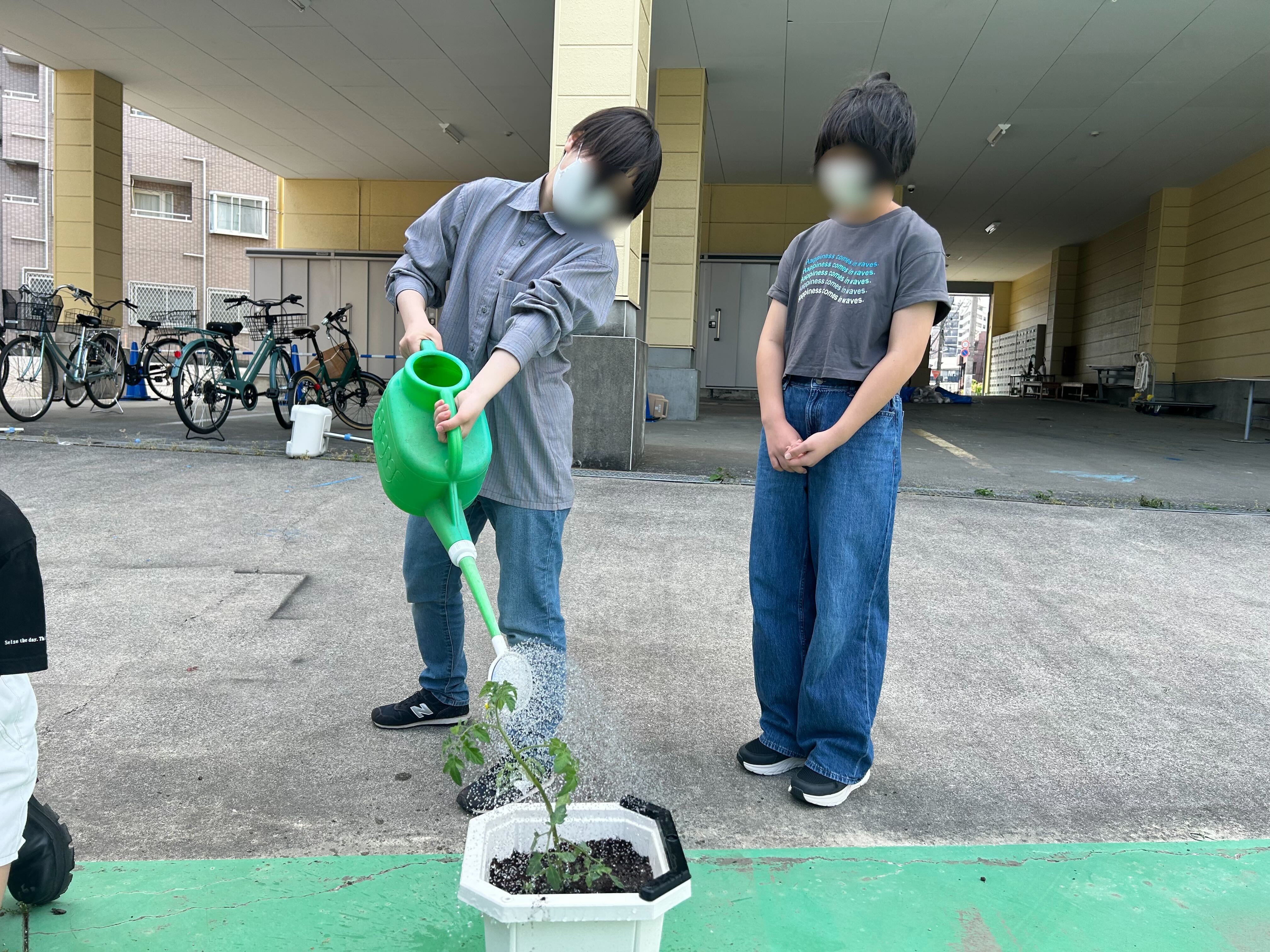 埼玉県所沢市にあるフリースクール、クラーク国際中等部所沢キャンパスで行ったミニトマトの苗植えの様子
