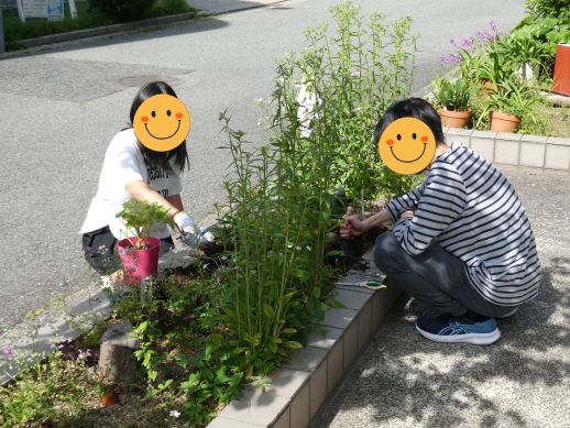 兵庫県にあるフリースクール、クラーク国際中等部芦屋キャンパスの園芸の授業の様子
