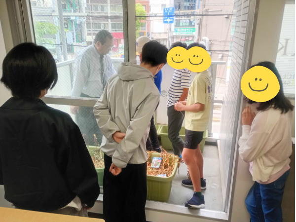 大阪にあるフリースクール、クラーク国際中等部大阪天王寺キャンパス、理科、夏野菜、準備、