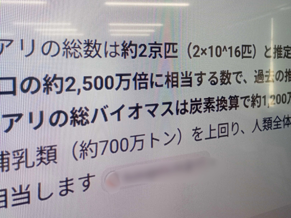 大阪にあるフリースクール、クラーク国際中等部大阪天王寺キャンパス、フェルミ推定、アリの数を考える、