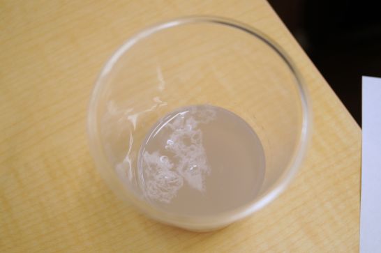 名古屋にあるフリースクール、クラーク国際中等部名古屋キャンパスの授業の様子（理科実験）