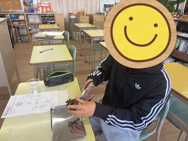 静岡にあるフリースクール、クラーク国際中等部静岡キャンパスの理科の授業