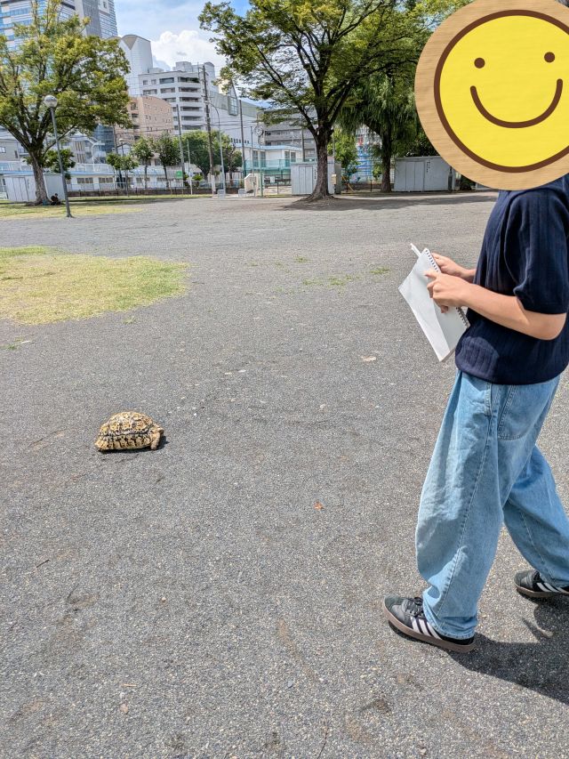 静岡にあるフリースクール、クラーク国際中等部静岡キャンパスの授業の様子