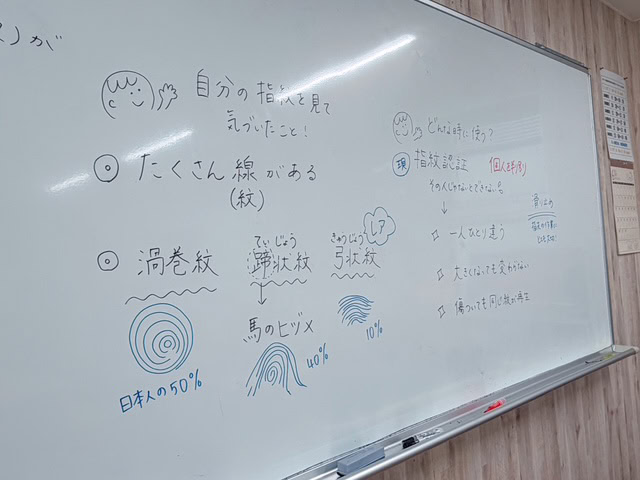静岡にあるフリースクール、クラーク国際中等部静岡キャンパスの理科の授業