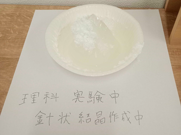 大阪にあるフリースクール、クラーク国際中等部大阪天王寺キャンパス、理科実験、蓄光、再結晶、尿素の花、針状結晶、