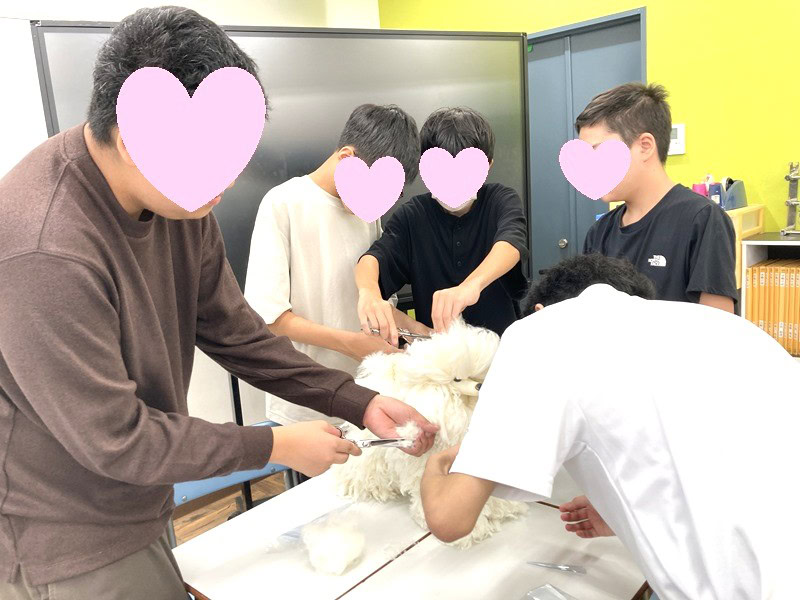 東京にあるフリースクール、クラーク国際中等部東京キャンパスの授業の様子