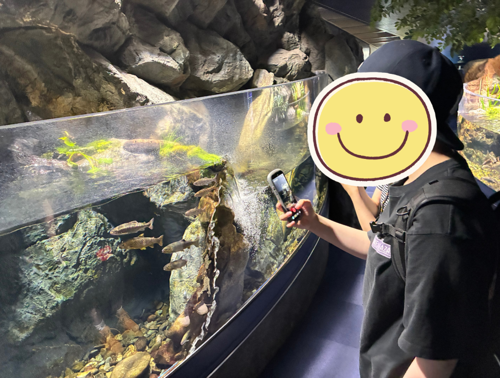 7月課外活動　魚の生態を間近で観察