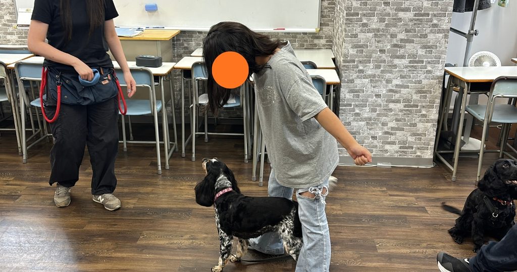 新宿にあるフリースクール、クラーク国際中等部東京キャンパスの授業の様子