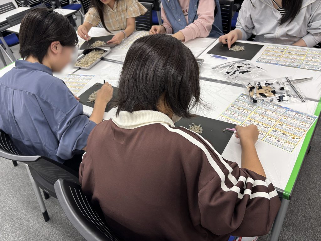 埼玉県所沢市にあるフリースクール、クラーク国際中等部所沢キャンパスで行ったチリモン探しの様子