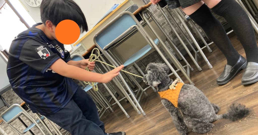 新宿にあるフリースクール、クラーク国際中等部東京キャンパスの授業の様子