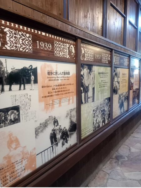 大阪にあるフリースクール、クラーク国際中等部大阪天王寺キャンパス、大阪、天王寺、フリースクール、クラーク、課外活動、天王寺動物園、