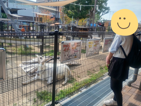 大阪にあるフリースクール、クラーク国際中等部大阪天王寺キャンパス、大阪、天王寺、フリースクール、クラーク、課外活動、天王寺動物園、